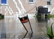 热带风暴黛比预计将给东南部地区带来洪水。这是可能的降雨量